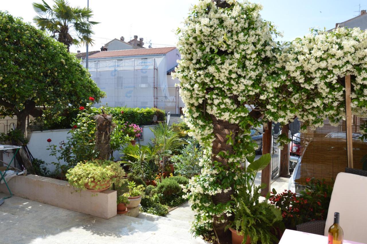 Apartments Zita بوريتش المظهر الخارجي الصورة